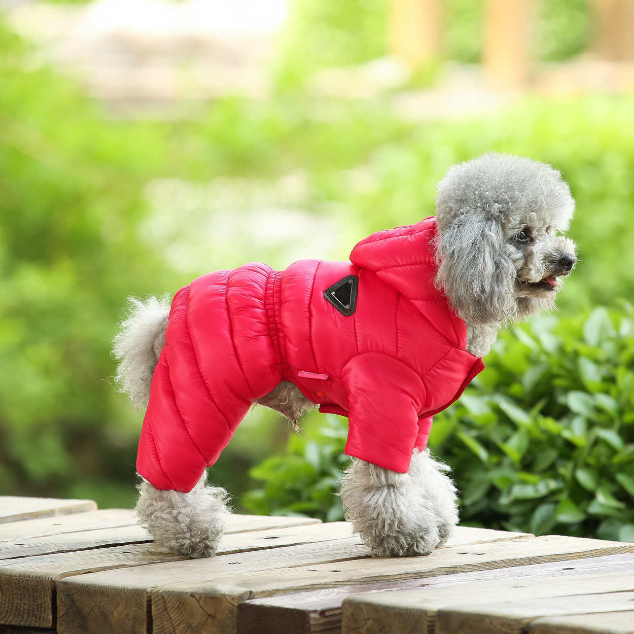 狗狗四腳衣服羽絨棉冬裝泰迪秋冬棉衣比熊博美小型犬春秋羽絨棉服